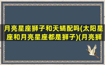 月亮星座狮子和天蝎配吗(太阳星座和月亮星座都是狮子)(月亮狮子 月亮天蝎)